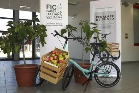 新零售的創(chuàng)新標(biāo)桿 迪士尼休閑農(nóng)場超市與Eataly的開山之作
