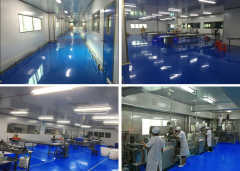 法務專員在網絡信息技術服務中的角色與職責